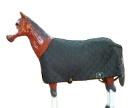  Equestrian Products ( Equestrian Products)