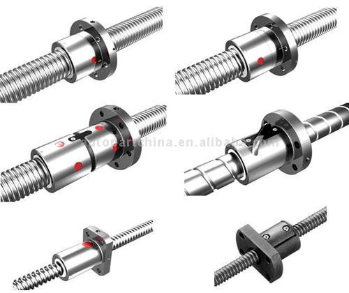 Führende Ball Screw (Führende Ball Screw)