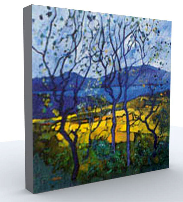  Canvas Painting ( Canvas Painting)