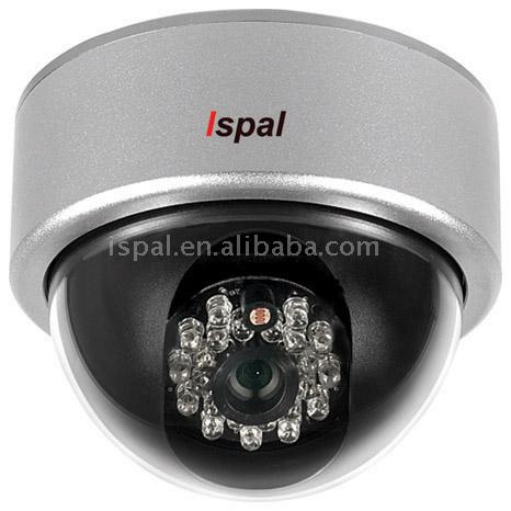  IR Weatherproof CCD Dome Camera (IR intempéries CCD caméra dôme)