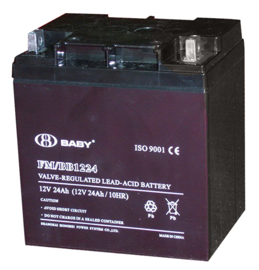  Sealed Lead Acid Battery(12V 24Ah) (Sealed Lead Acid Battery (12V 24Ah))