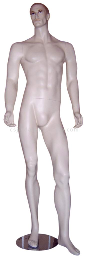  Male Mannequin ( Male Mannequin)