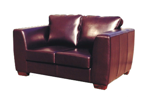  Leather Sofa (Ledercouch)