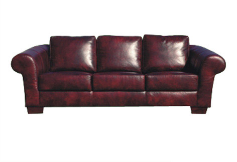  Leather Sofa (Canapé cuir)