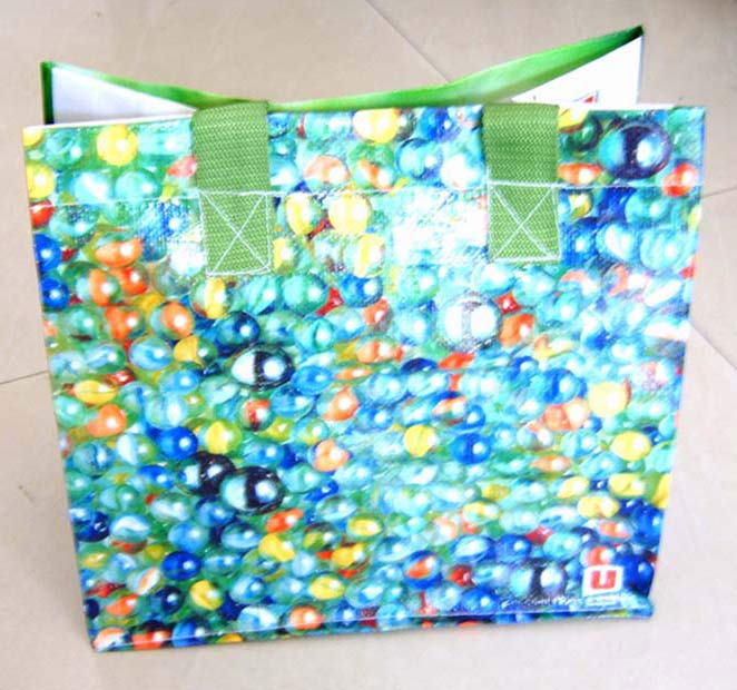  Non-Woven Bag (Non-Woven Bag)