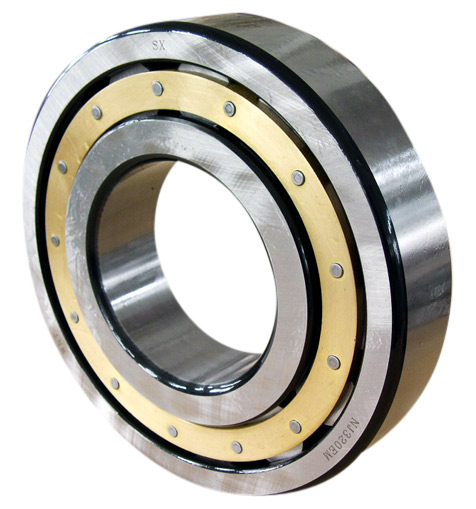  Single Row Cylindrical Roller Bearing (NJ0000) (À une rangée de roulements à rouleaux cylindriques (NJ0000))