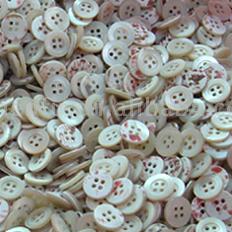  Trocas Shell Buttons (Ten) ( Trocas Shell Buttons (Ten))