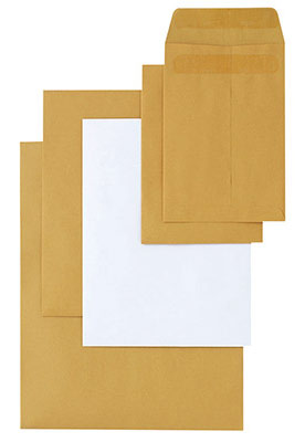  Pocket Envelope ( Pocket Envelope)