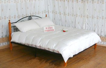  Down Duvet (Une couette en duvet)