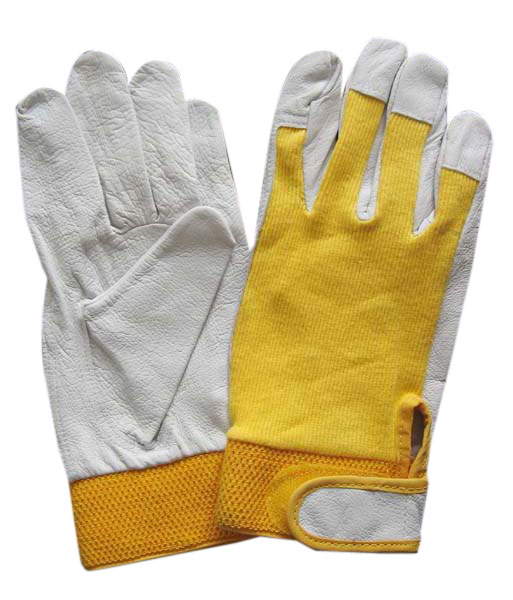  Grain Pigskin Gloves ( Grain Pigskin Gloves)