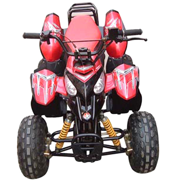  110cc ATV ( 110cc ATV)