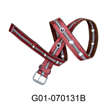  Canvas Belt ( Canvas Belt)