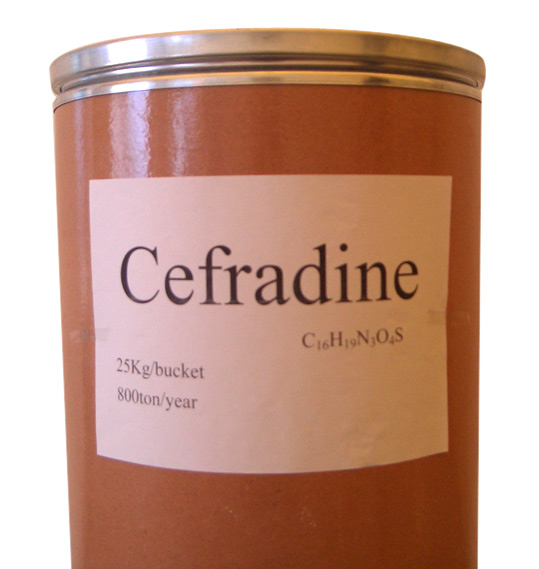  Cefradine