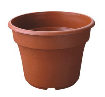  Planter ( Planter)