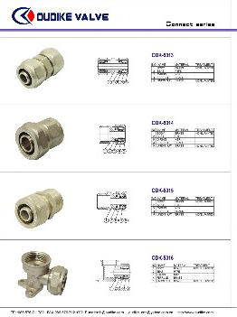  Pipe Fitting ( Pipe Fitting)