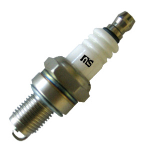  Spark Plug ( Spark Plug)