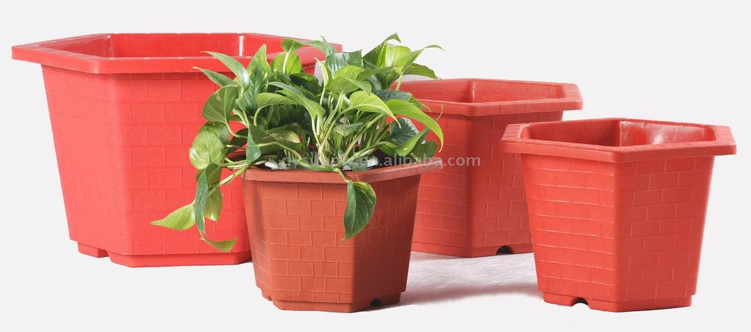  Flower Pot (Flower Pot)