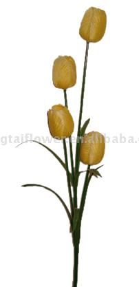  Tulip (Тюльпан)