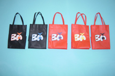  Non-Woven Bag / Gift Bag (Non-Woven Bag / Sac cadeau)