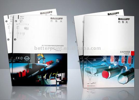  Catalogue and Brochure (Catalogue et brochure)