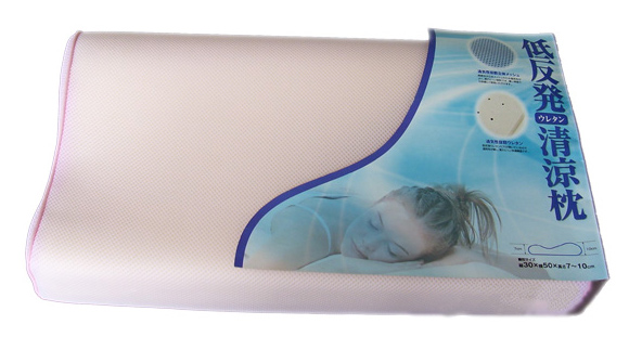  Cooling Pillow (Refroidissement Pillow)