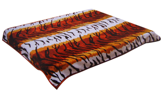  Blanket (Couverture)