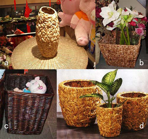  Rattan & Hyacinth Vases (Rotin & Hyacinth Vases)