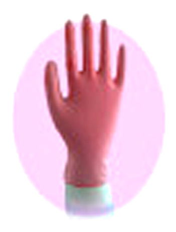  Disposable Gloves (Gants jetables)