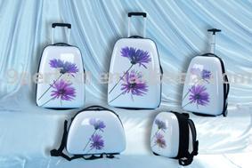  ABS Trolley Case and Weekender (Flower Printed) (ABS Trolley und Weekender (Printed Flower))