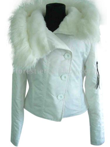 Damen-Jacke (Damen-Jacke)