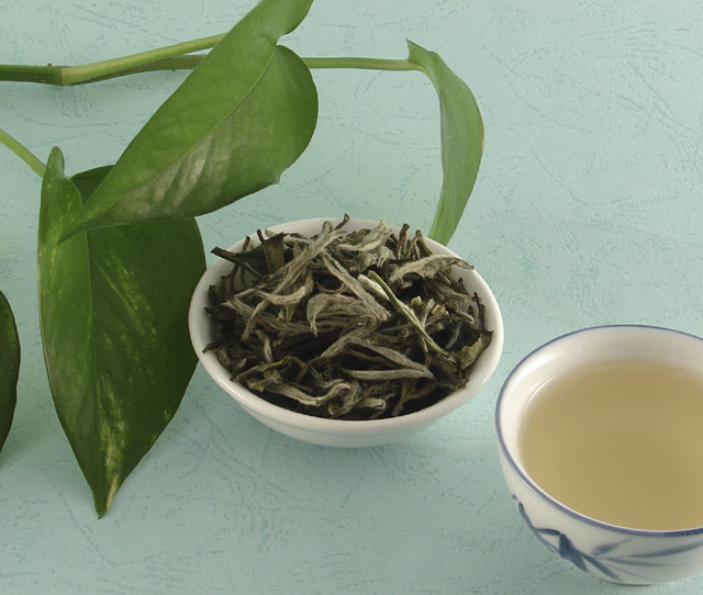  White Peony Tea (Pivoine Blanche Thé)