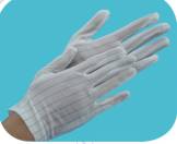  Anti-Static Glove ( Anti-Static Glove)