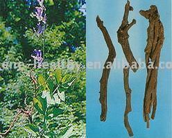  Salvia Root Extract (Salvia-Wurzel-Extrakt)