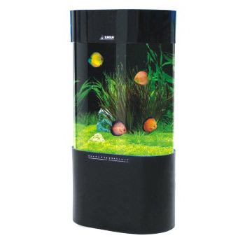  Aquarium Tank ( Aquarium Tank)