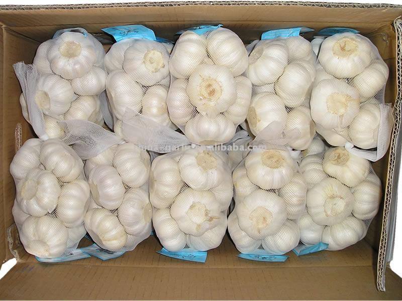 Snow White Knoblauch (Snow White Knoblauch)