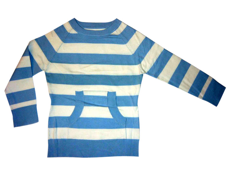  Ladies` Sweater (Ladies `Sweater)