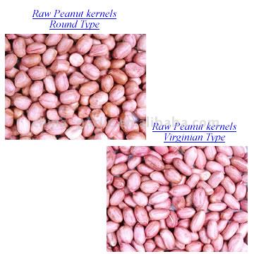  Peanut Kernel ( Peanut Kernel)