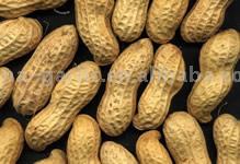  Peanuts In Shell ( Peanuts In Shell)