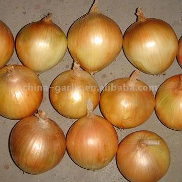  Yellow Onions (Желтый лук)