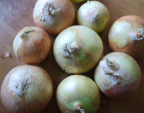  Fresh Red/Yellow Onion (Fresh Rouge / Jaune Onion)