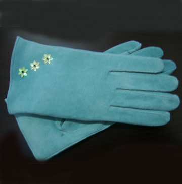  Fashionable Lady`s Leather Glove (Fashionable Lady`s Leather Glove)