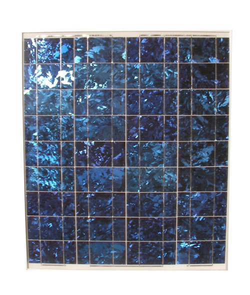  55W Solar Module (Module solaire 55W)