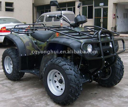  650cc 4 x 4 ATV (650cc 4 х 4 ATV)