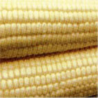 IQF Corn (IQF Corn)