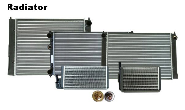  Radiator & Thermo Switch (Radiator & Thermo-contact)