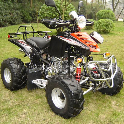 Discount EWG 250cc ATV (Discount EWG 250cc ATV)