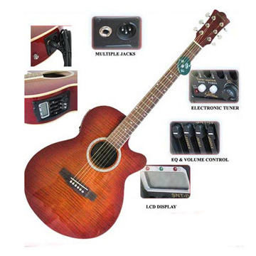 Electric Acoustic Guitars (Electric Acoustic Guitars)