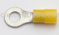  Nylon Insulated Terminal (Nylon Insulated administration)