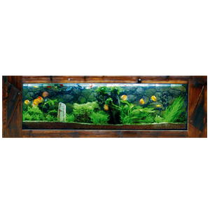  Hang Wall Aquariums