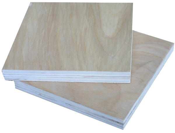  Birch Plywood (Contreplaqué de bouleau)